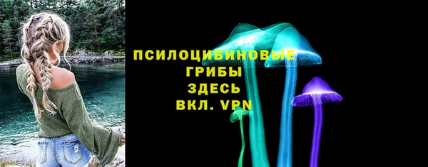 хмурый Дмитриев