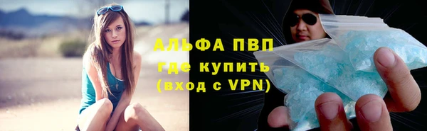 стаф Гусев