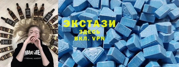 стаф Гусев