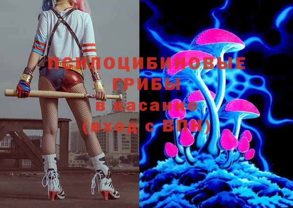 гашик Гусь-Хрустальный