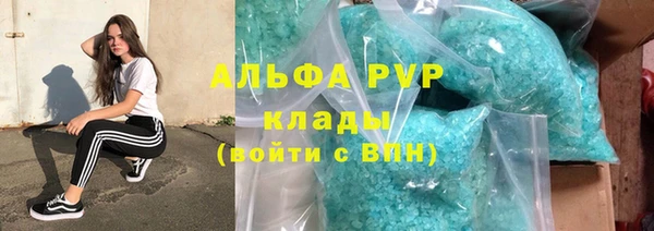 хмурый Дмитриев