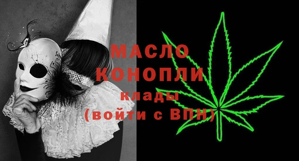 хмурый Дмитриев
